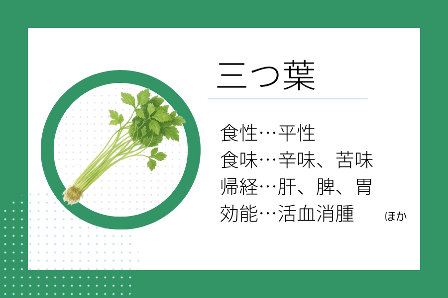 An illustration summarizing the medicinal properties of “Early Summer Dietary Therapy: Mitsuba” showing a mitsuba image along with its nature, flavor, meridian tropism, and functions.