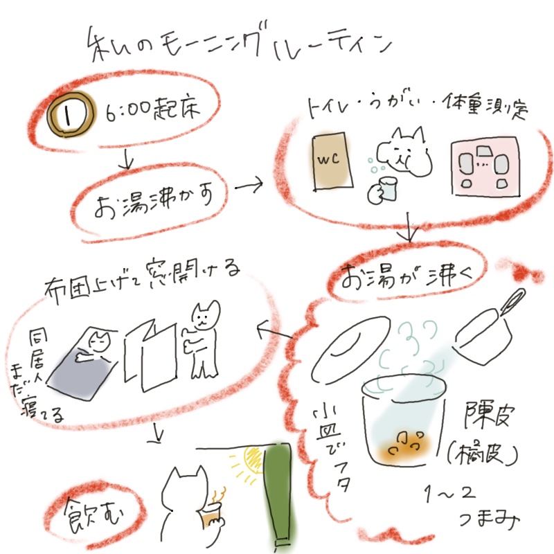 A hand-drawn illustration depicting the artist’s morning routine. Starting with waking up at 6 a.m., the steps include boiling water, using the toilet, gargling, weighing, airing the bedding, opening the window, and drinking hot water infused with dried citrus peel (chenpi).