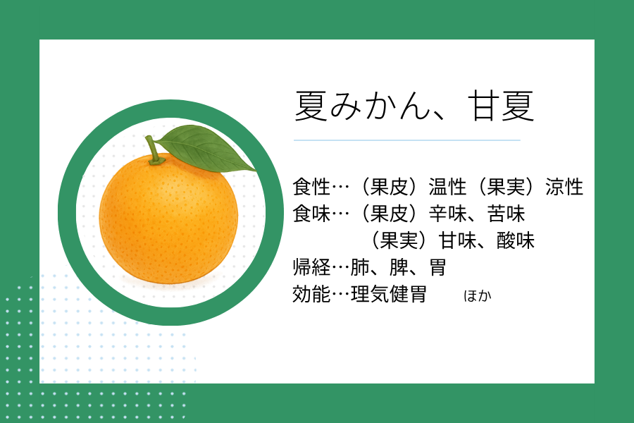 An illustration summarizing the medicinal properties of “Early Summer Dietary Therapy: Japanese Summer Orange” showing a Japanese summer orange image along with its nature, flavor, meridian tropism, and functions.