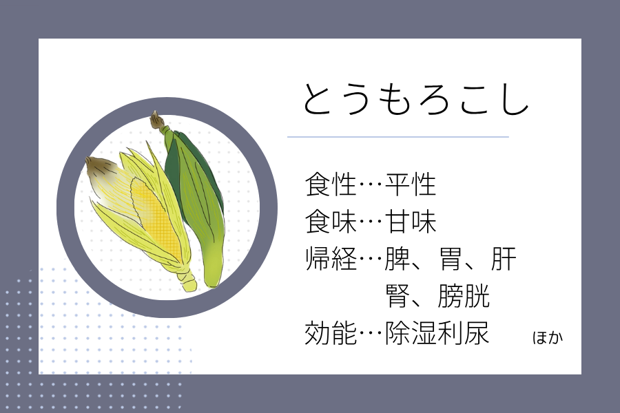 An illustration summarizing the medicinal properties of “Rainy Season Dietary Therapy: Corn” showing a corn image along with its nature, flavor, meridian tropism, and functions