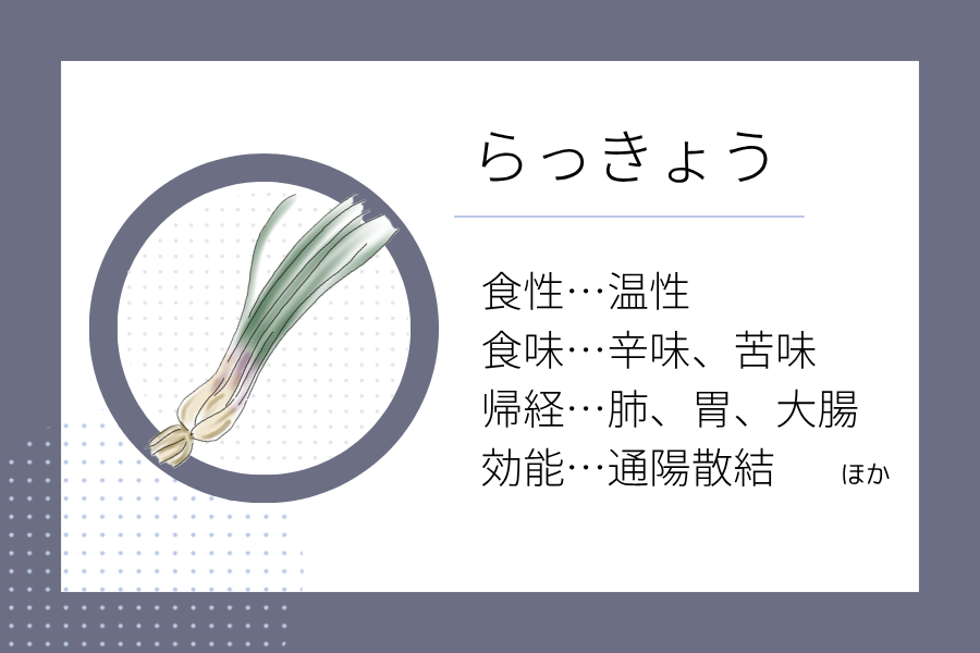 An illustration summarizing the medicinal properties of “Rainy Season Dietary Therapy: Rakkyo” showing a rakkyo image along with its nature, flavor, meridian tropism, and functions.