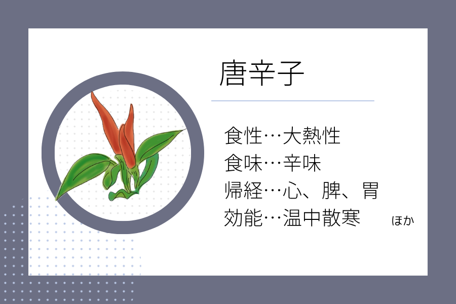 An illustration summarizing the medicinal properties of “Rainy Season Dietary Therapy: Chili Pepper” showing a chili pepper image along with its nature, flavor, meridian tropism, and functions.