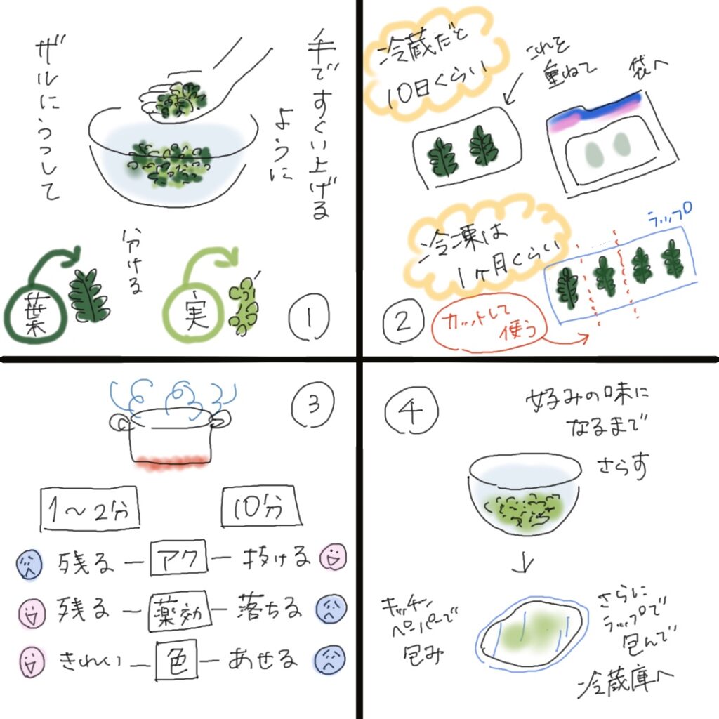 Illustration showing how to prepare sansho leaves and berries