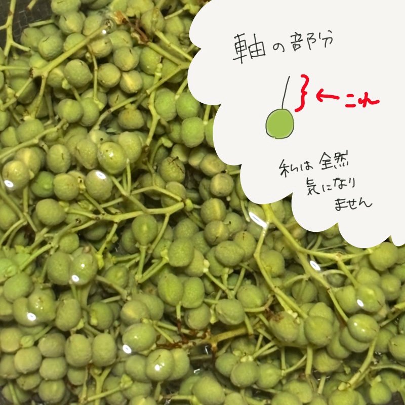 Sansho berries soaked in water, with a hand-drawn note pointing to the stem attachment area