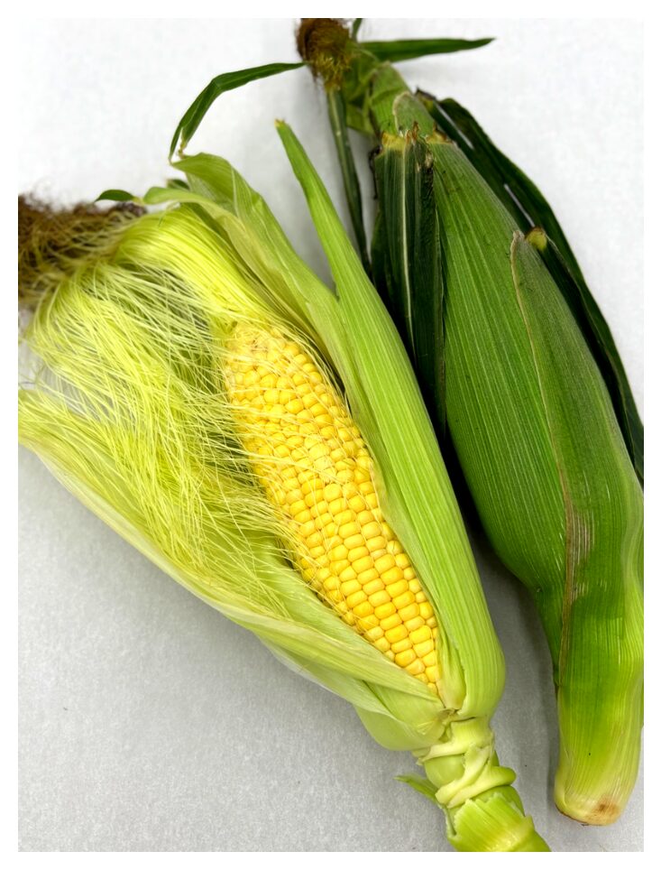 Corn with husk and corn partially husked to reveal kernels
