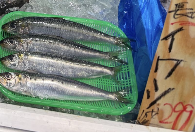 A photo of four fresh sardines laid on ice in a green basket, with a price sign reading “Nagasaki Iwashi 299 yen”.