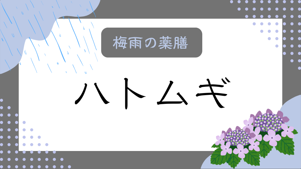 A title image featuring Job’s tears from my “Rainy Season Dietary Therapy” series.