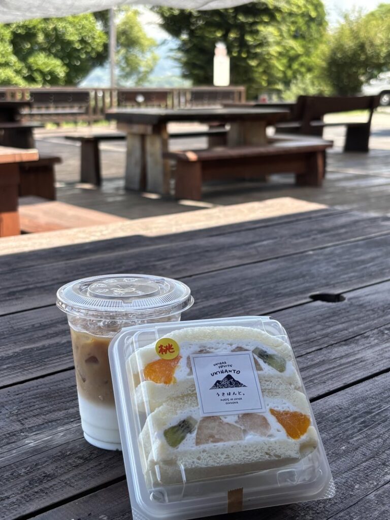 Fruit sandwich with peach, kiwi, and other fruits, along with iced latte on a wooden table at the Ukihamichi-no-Eki deck