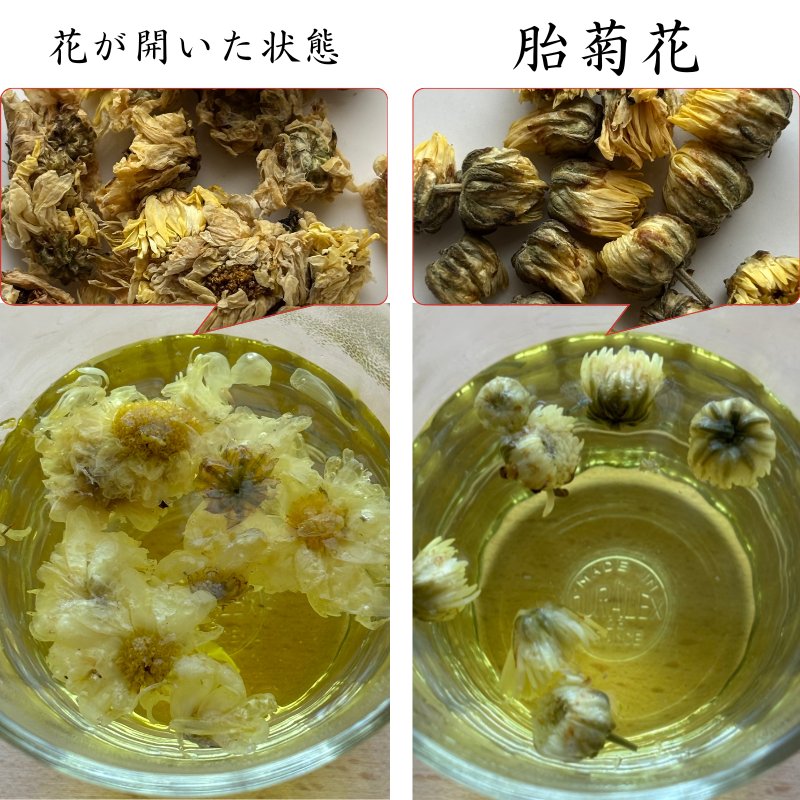Side-by-side comparison of chrysanthemum buds (胎菊花) and fully bloomed chrysanthemum flowers in both dry and steeped forms.