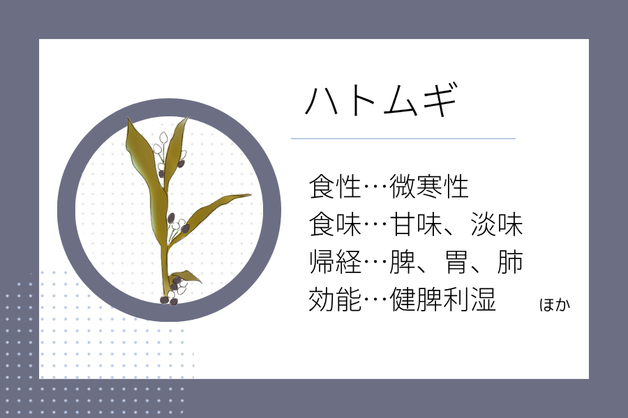 An illustration summarizing the medicinal properties of “Rainy Season Dietary Therapy: Job’s tears” showing a Job’s tears image along with its nature, flavor, meridian tropism, and functions.