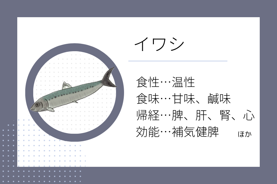 An illustration summarizing the medicinal properties of “Rainy Season Dietary Therapy: Sardine” showing a sardine image along with its nature, flavor, meridian tropism, and functions.
