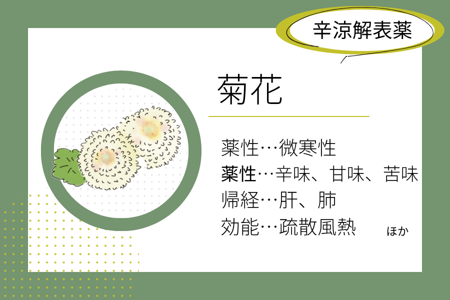 An illustrated summary of the herbal properties of “chrysanthemum”.