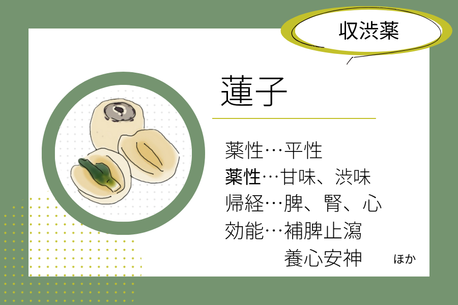 An illustrated summary of the herbal properties of “lotus seed”.