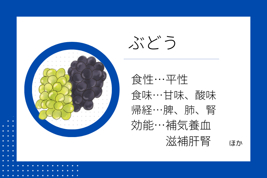 An illustration summarizing the medicinal properties of “Late Summer Dietary Therapy: Grapes” showing a grapes image along with its nature, flavor, meridian tropism, and functions.