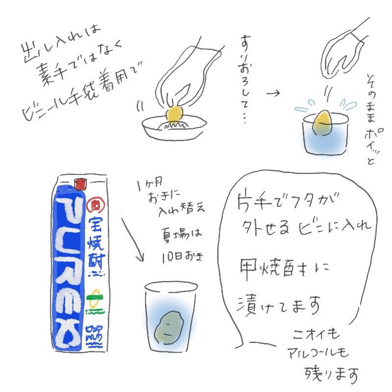 Illustrated method for preserving ginger by soaking it in kōrui shōchū (distilled liquor).