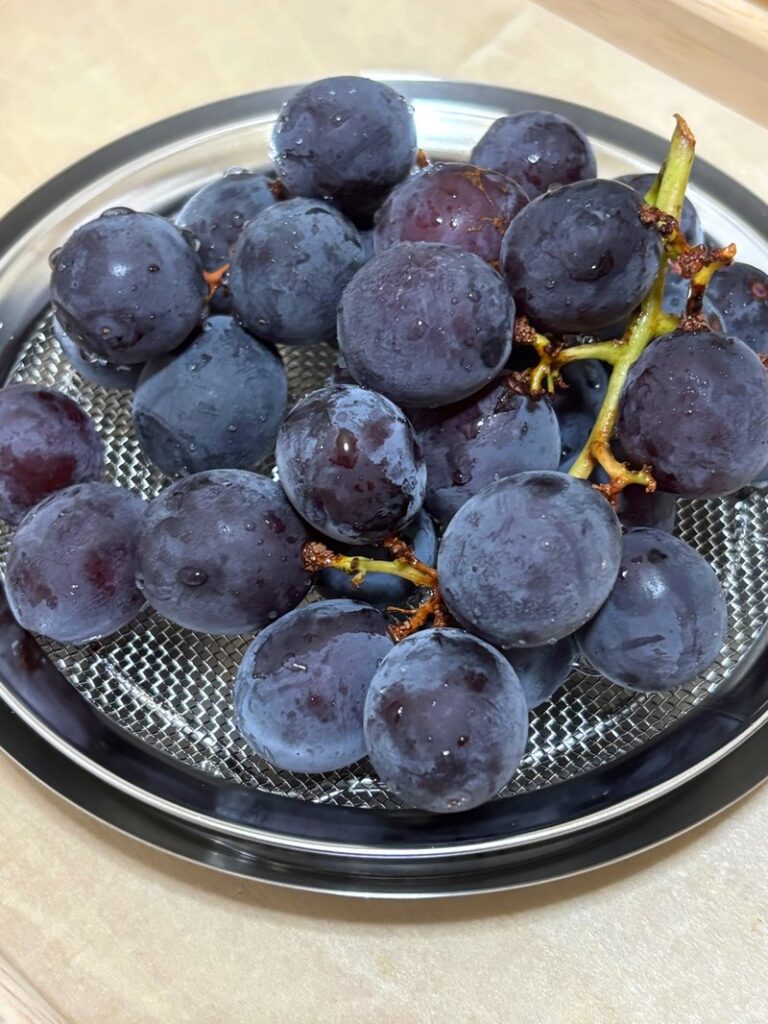 Freshly washed purple grapes in a strainer, with a natural bloom on the skin showing their freshness.