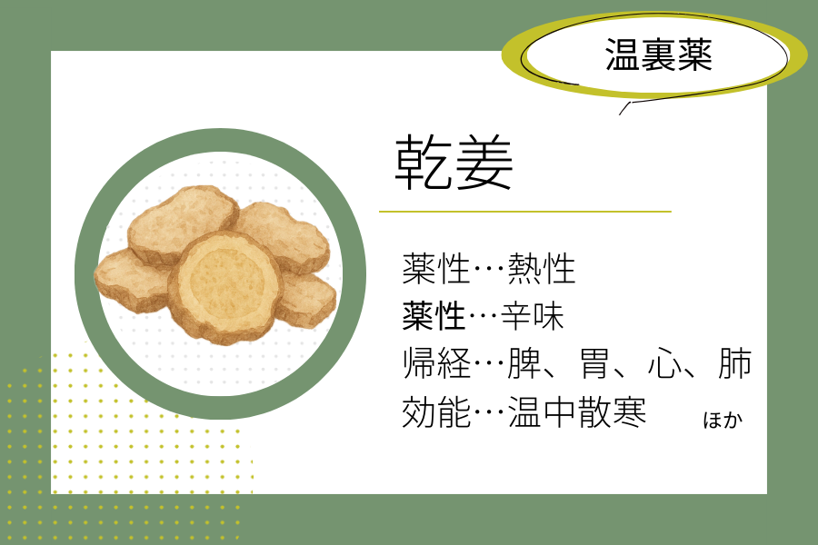 An illustrated summary of the herbal properties of “Processed Ginger (Kankyo)”.