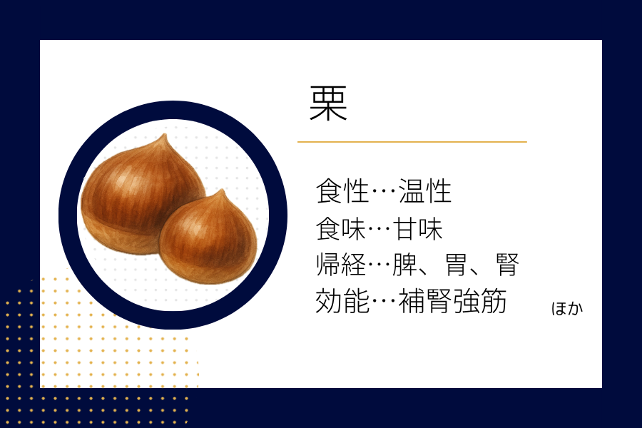 An illustration summarizing the medicinal properties of “Autumn Dietary Therapy: Chestnut” showing a chestnut image along with its nature, flavor, meridian tropism, and functions.