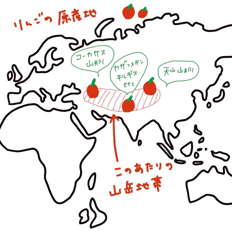 An illustrated map showing the origin of apples, highlighting the mountainous regions of Central Asia such as the Caucasus, Kazakhstan, Kyrgyzstan, and the Tianshan Mountains in red.