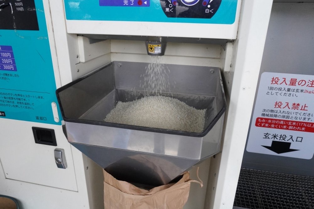Polished white rice flowing from a rice mill into a bag.