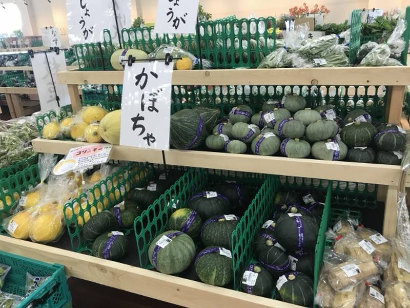 A photo of various pumpkins displayed at a farmers’ market. Green and yellow pumpkins fill the wooden shelves.