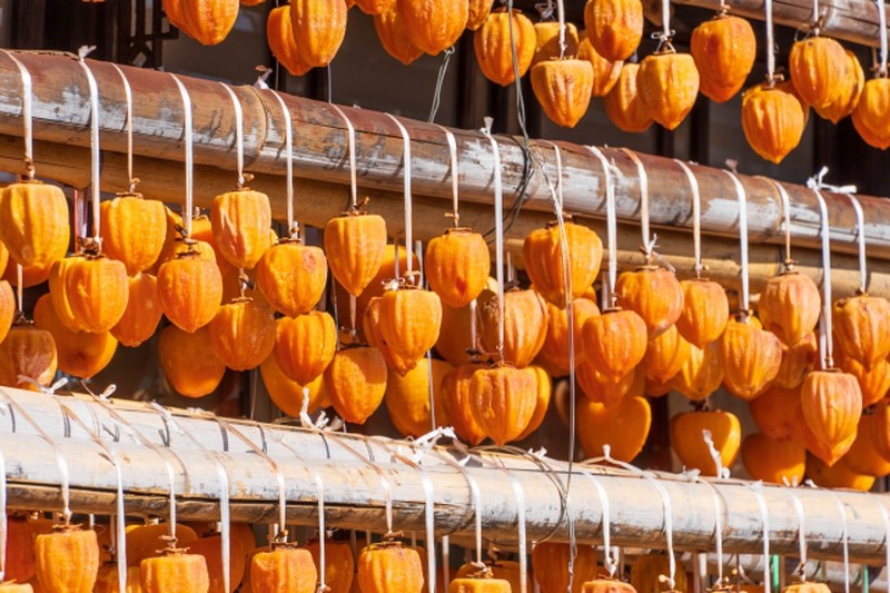 Rows of persimmons hanging to dry on wooden racks, glowing orange in the autumn sun.