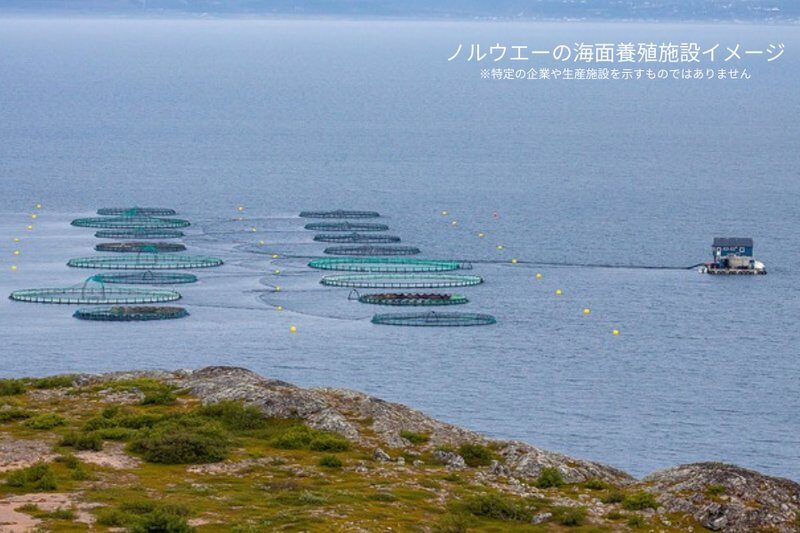 A coastal aquaculture facility in Norway with multiple circular fish farming nets. This image is for illustrative purposes only and does not represent a specific company or production site.