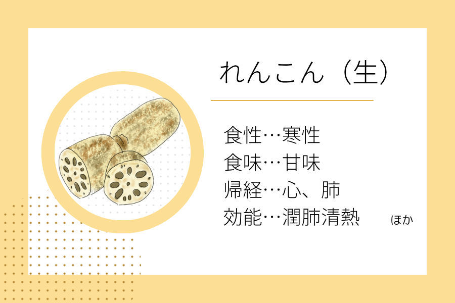 An illustration summarizing the medicinal properties of “Early Winter Dietary Therapy: Lotus Root” showing a lotus root image along with its nature, flavor, meridian tropism, and functions.