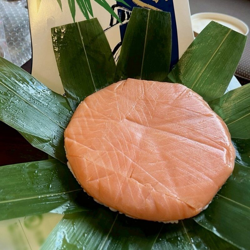 Masu-zushi, a circular pressed trout sushi wrapped in bamboo leaves, a traditional dish from Toyama, Japan