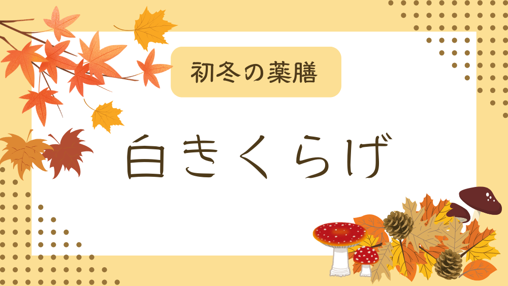 A title image featuring White Wood Ear from my “Early Winter Dietary Therapy” series.