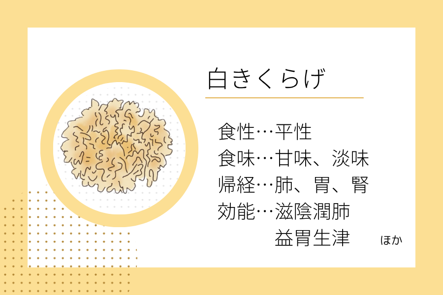 An illustration summarizing the medicinal properties of “Early Winter Dietary Therapy: White Wood Ear” showing a white wood ear image along with its nature, flavor, meridian tropism, and functions.