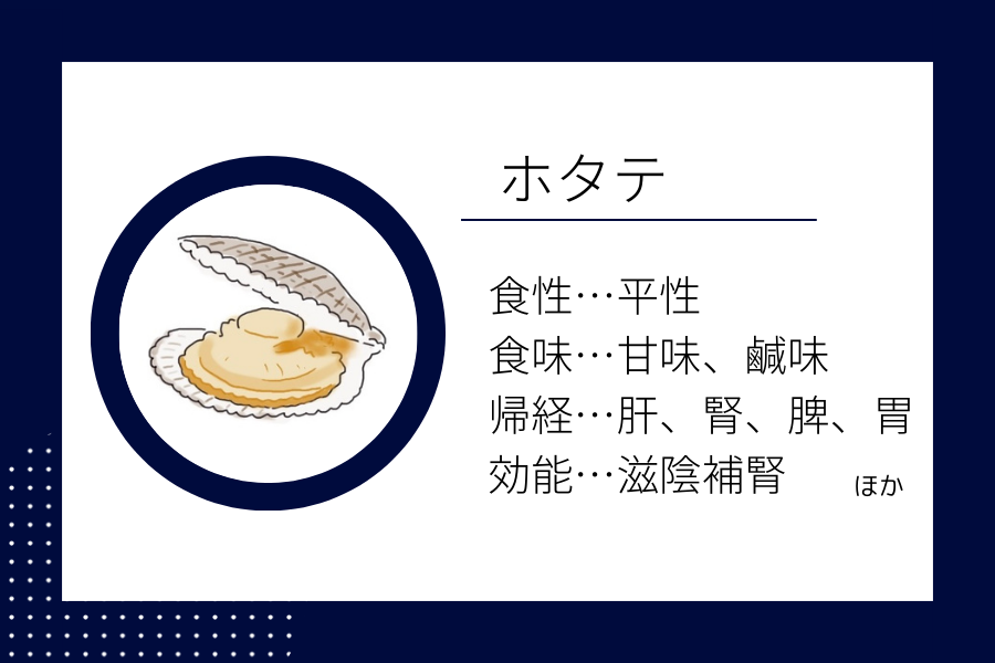 An illustration summarizing the medicinal properties of “ Winter Dietary Therapy: Scallop” showing a scallop image along with its nature, flavor, meridian tropism, and functions.