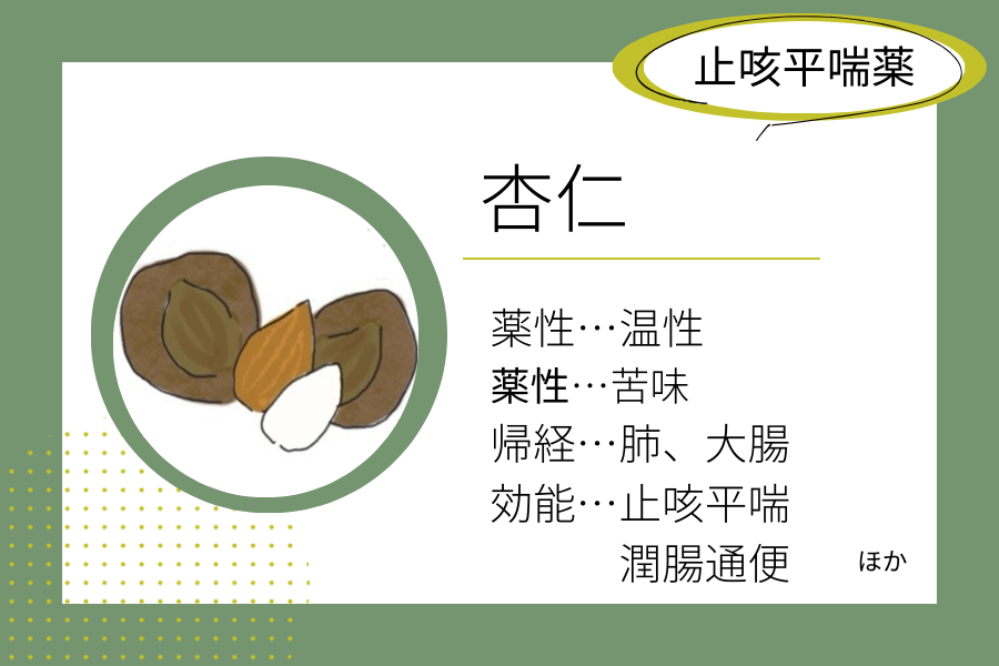 An illustrated summary of the herbal properties of “apricot kernel”.