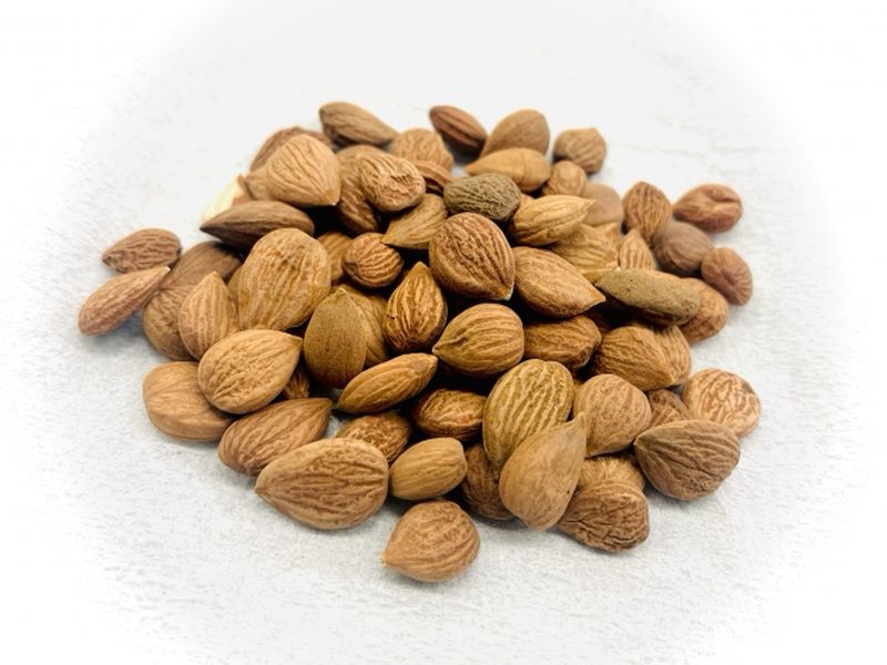 A photograph of dried apricot kernels used as a medicinal ingredient on a white background