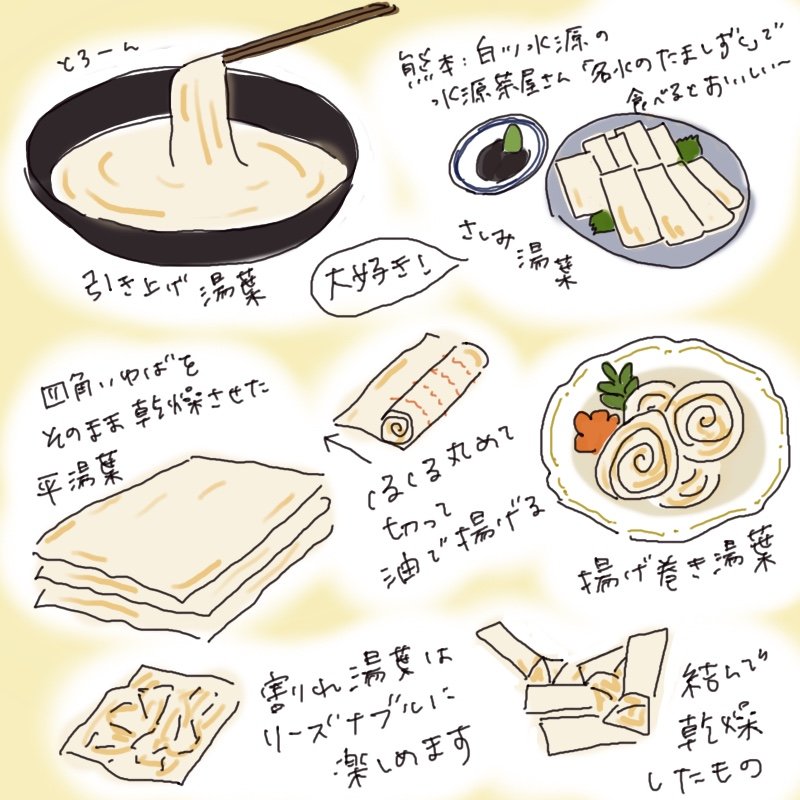 Hand-drawn illustration showing different types of yuba, including fresh yuba, nama-yuba, hira-yuba, fried yuba rolls, and dried yuba.