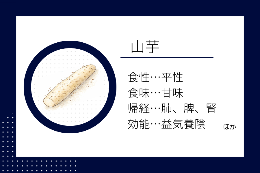 An illustration summarizing the medicinal properties of “ Winter Dietary Therapy: Japanese Yam” showing a Japanese yam image along with its nature, flavor, meridian tropism, and functions.