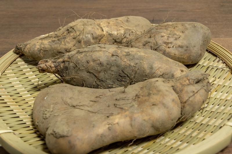 Yamatoimo (Japanese yam) placed on a bamboo tray, showing its thick shape and rough skin.