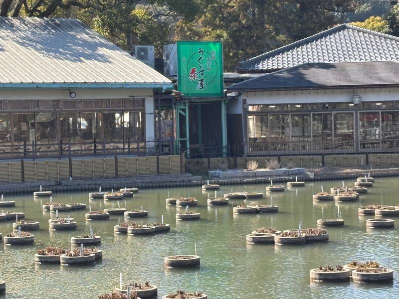 Exterior view of "Uguisu Cyaya"a traditional Japanese tea house