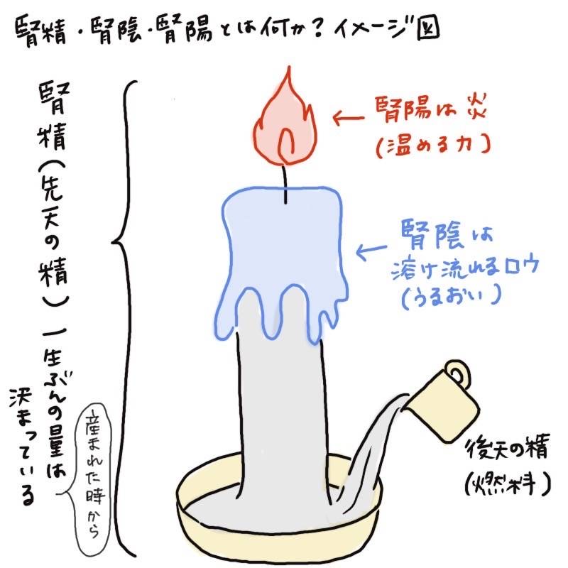 An illustrated diagram explaining Jinsei using a candle metaphor, showing the relationship between Kidney Yin (moisture) and Kidney Yang (warming power)