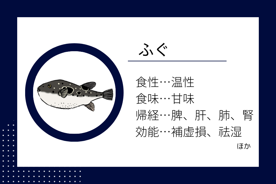 An illustration summarizing the medicinal properties of “ Winter Dietary Therapy: Pufferfish” showing a pufferfish image along with its nature, flavor, meridian tropism, and functions.