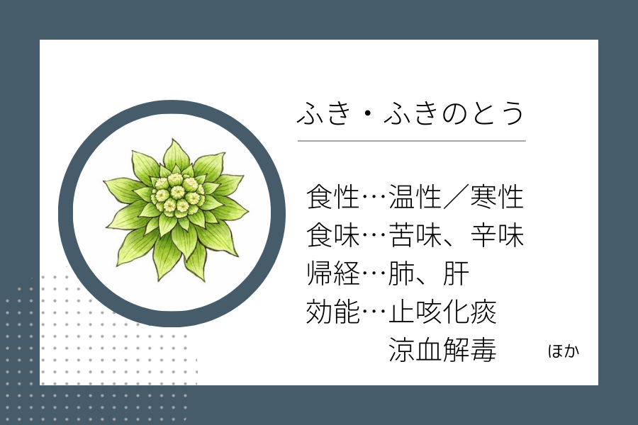 An illustration summarizing the medicinal properties of “ Early Spring Dietary Therapy: Japanese Butterbur (Fuki) & Butterbur Buds (Fukinoto)” showing a Japanese butterbur (fuki) & butterbur buds (fukinoto) image along with its nature, flavor, meridian tropism, and functions.