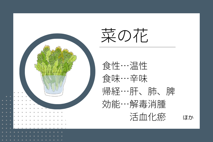 An illustration summarizing the medicinal properties of “Early Spring Dietary Therapy: Rapeseed Blossoms,” showing a rapeseed blossoms image along with its nature, flavor, meridian tropism, and functions.