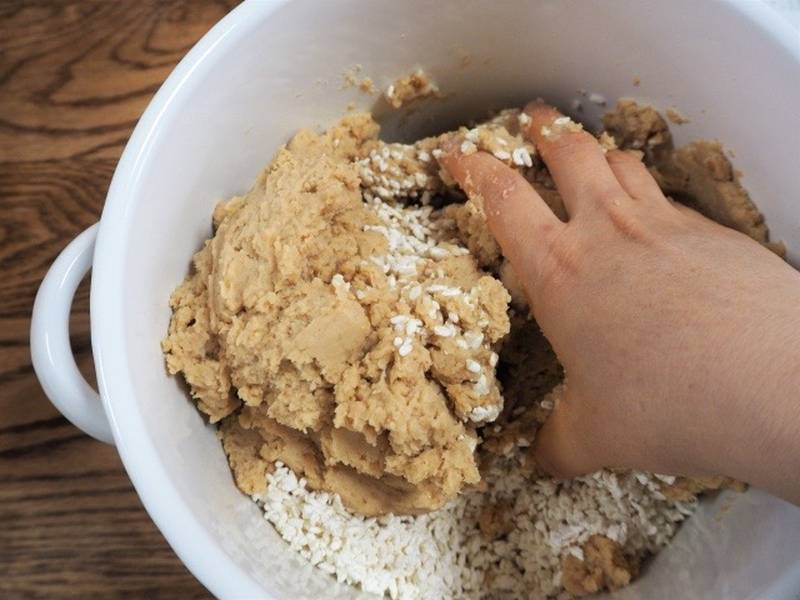 Hand-mixing soybeans and koji during the process of making homemade miso