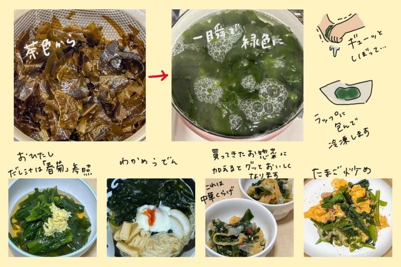 Illustrated guide showing preparation, storage, and cooking ideas for fresh wakame, including udon and side dishes