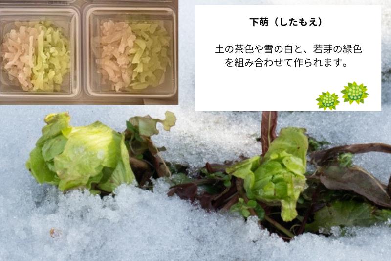 Fukinoto buds emerging from snow alongside traditional Japanese sweets inspired by the seasonal term “Shitamoe,” symbolizing early spring growth