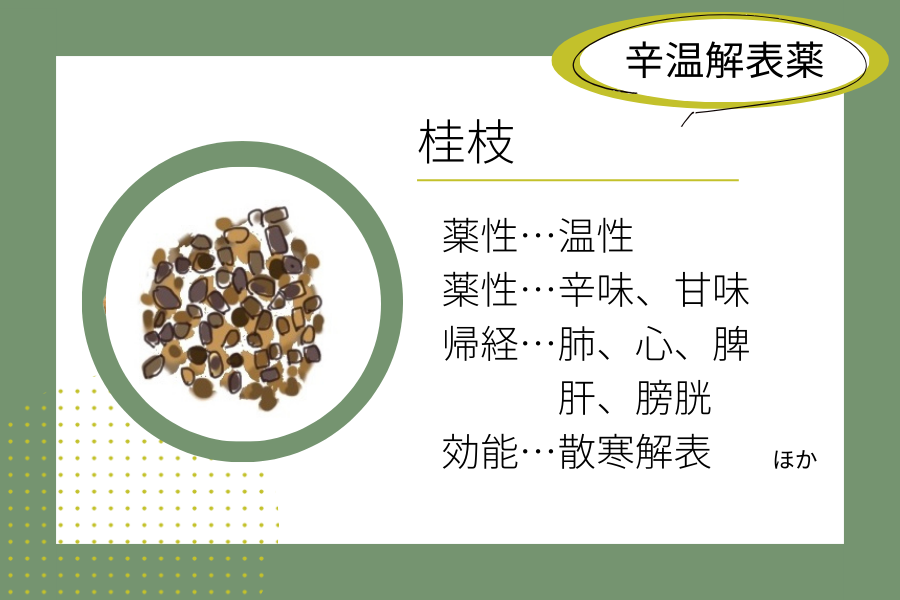 An illustrated summary of the herbal properties of “cinnamon twig”.