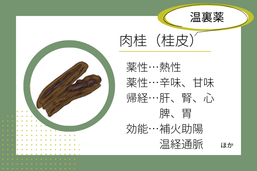 An illustrated summary of the herbal properties of “cinnamon bark”.
