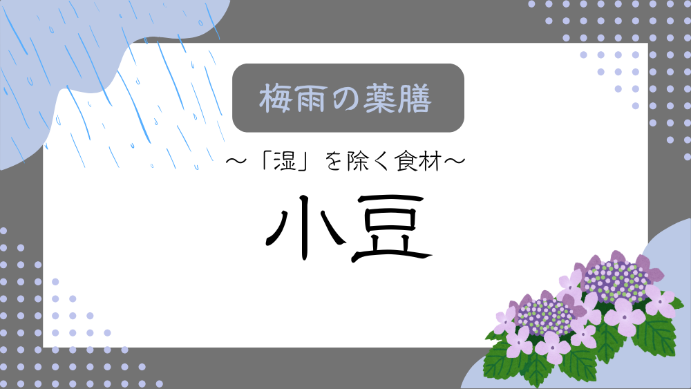 A title image featuring Azuki Bean from my “Rainy Season Dietary Therapy” series.