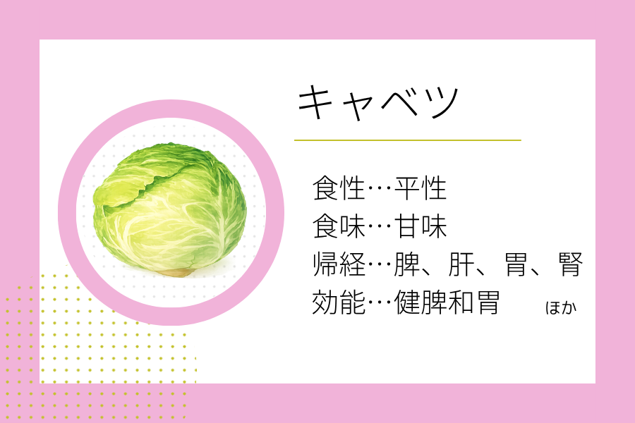 An illustration summarizing the medicinal properties of “ Early Spring Dietary Therapy: Cabbage” showing a cabbage image along with its nature, flavor, meridian tropism, and functions.
