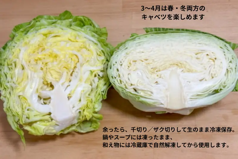 A comparison photo of spring cabbage and winter cabbage side by side, showing the visible differences in leaf texture and density between the two seasonal varieties